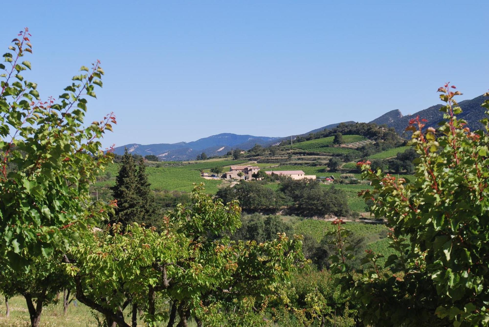 Domaine De Provensol Bed & Breakfast Venterol  ภายนอก รูปภาพ